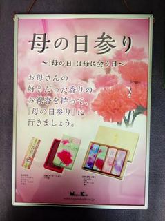 母の日参り.jpg