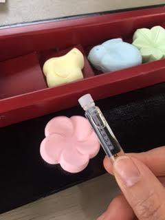 香菓 2.jpg
