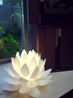 oribami lite 連花.jpg